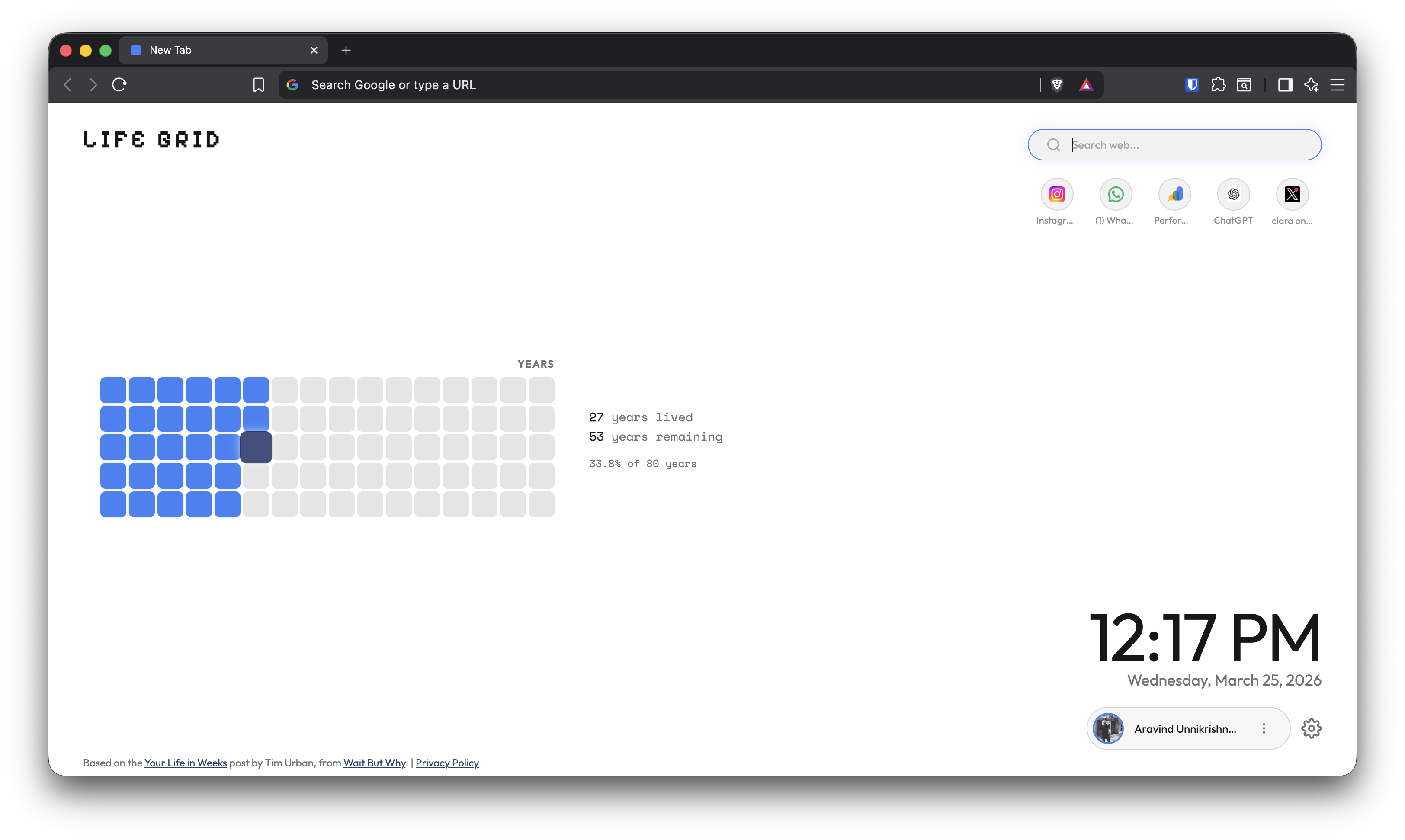 LifeGrid light theme yearly timeline view